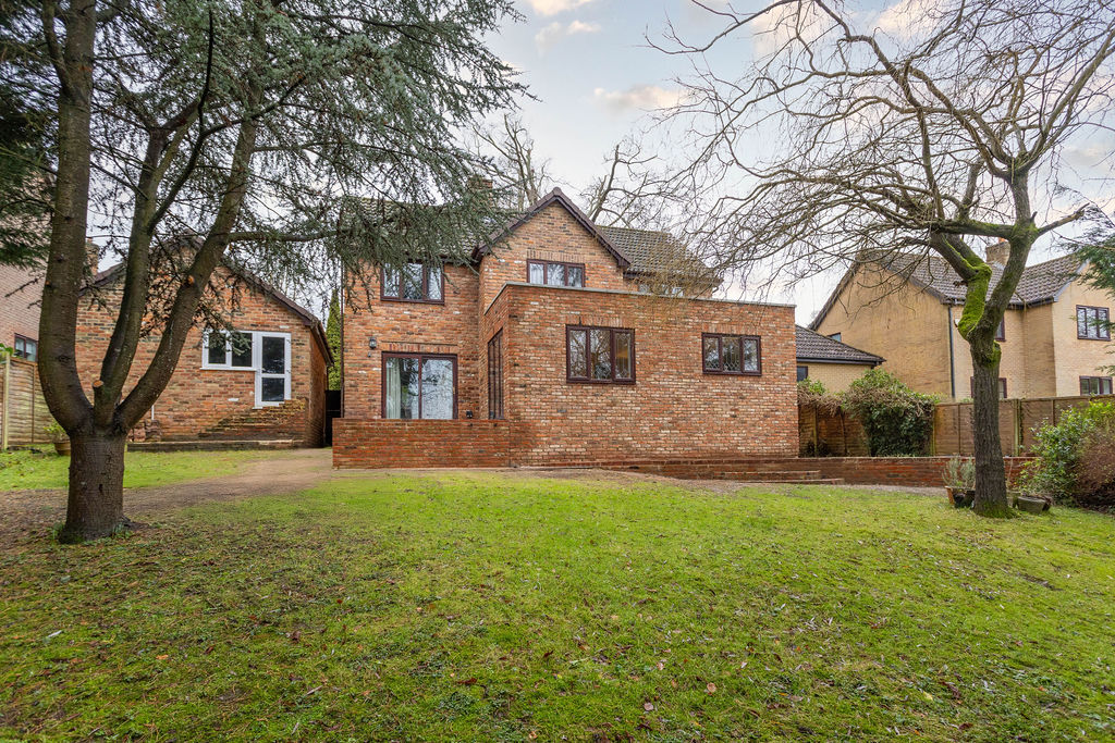 Rear extension in Kenley, London.